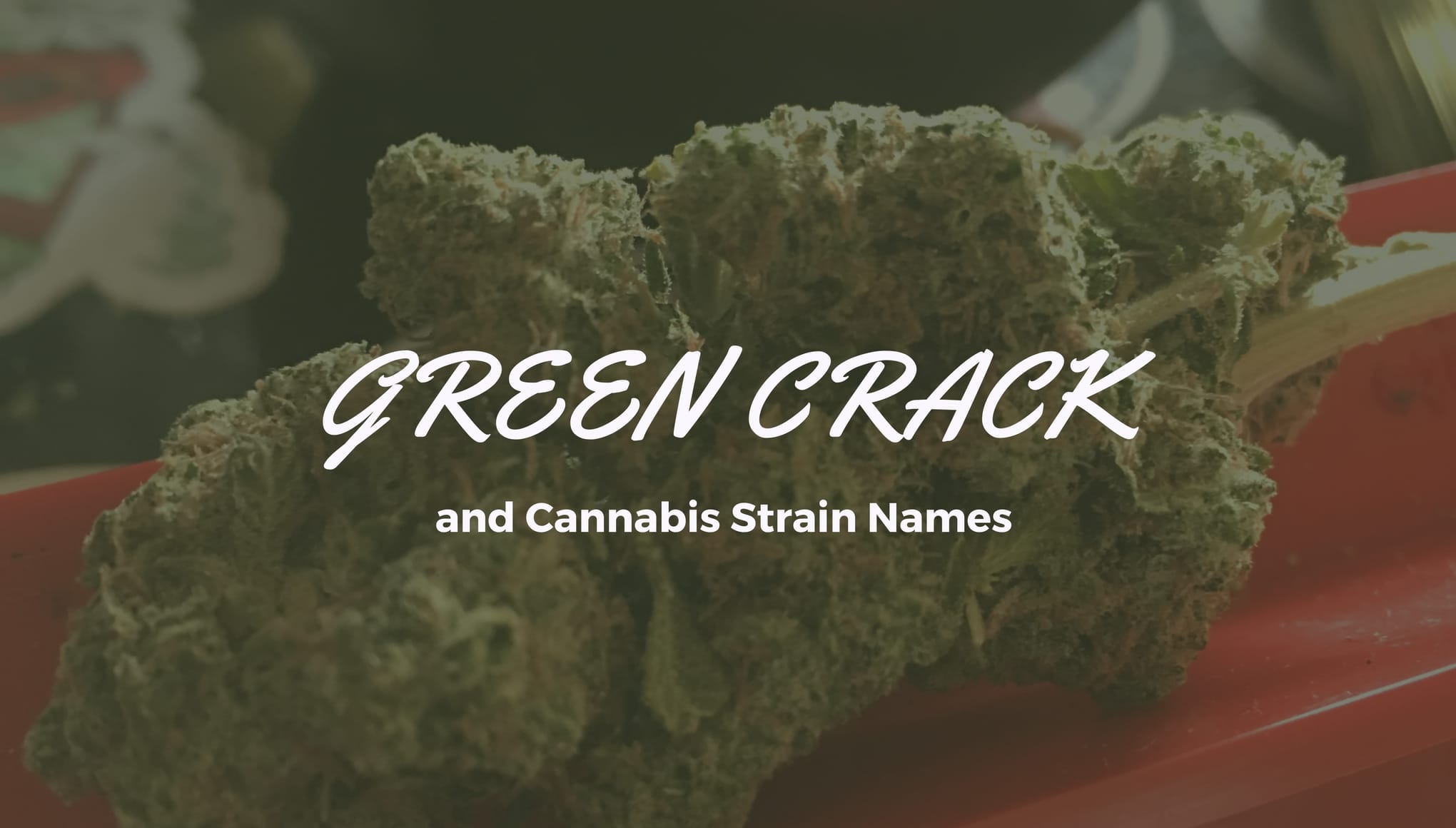 Archive image 3 for Green Crack and Cannabis Strain Names