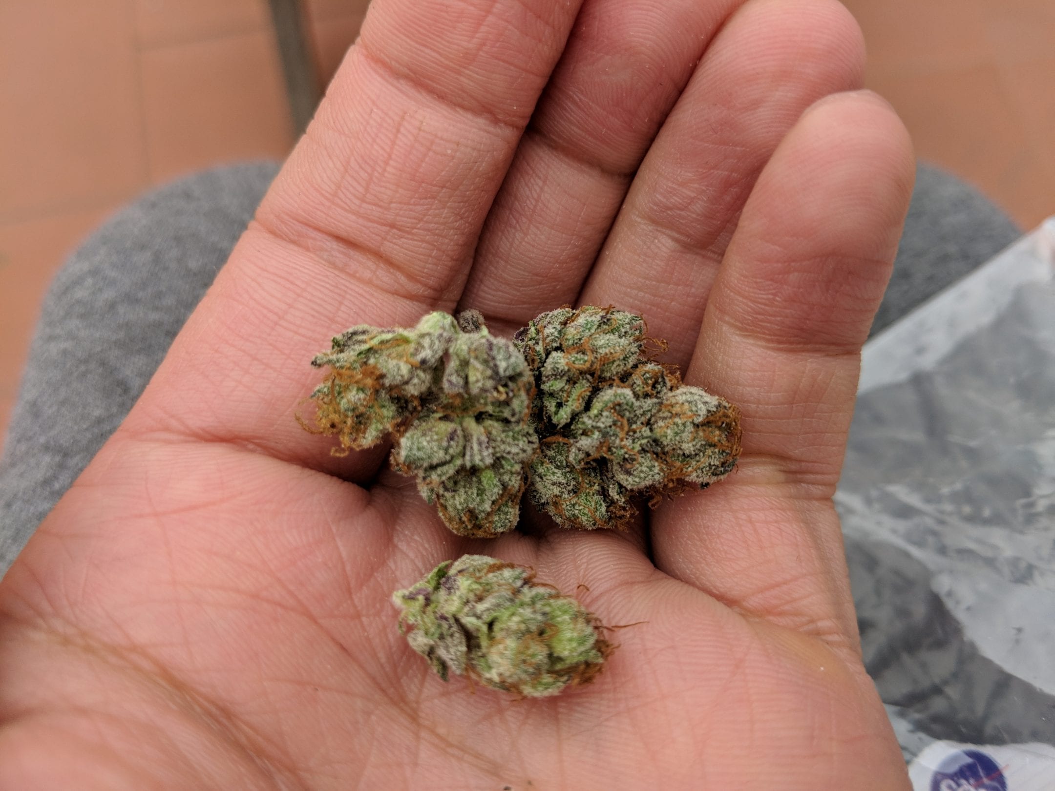 Archive image 2 for Green Gelato Cannabis Strain Review & Information
