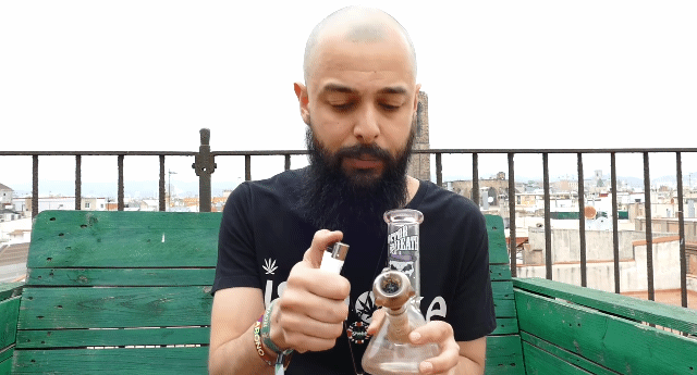 Archive image 3 for Green Gelato Cannabis Strain Review & Information