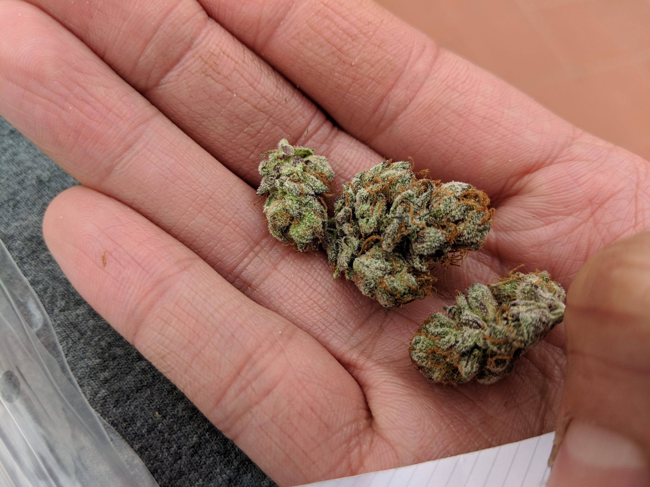 Archive image 4 for Green Gelato Cannabis Strain Review & Information