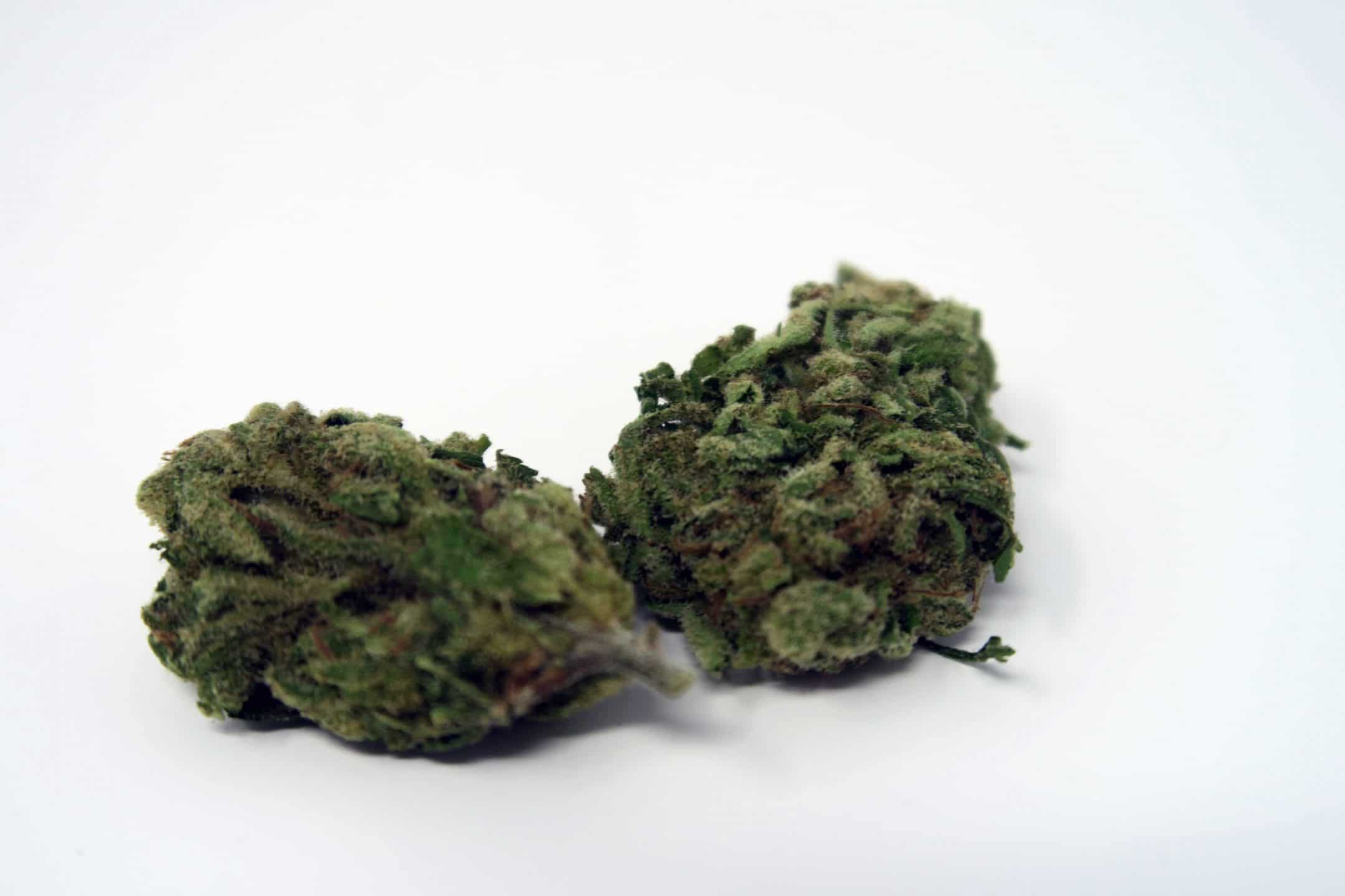 Archive image 2 for Green Kiss Cannabis Strain Review