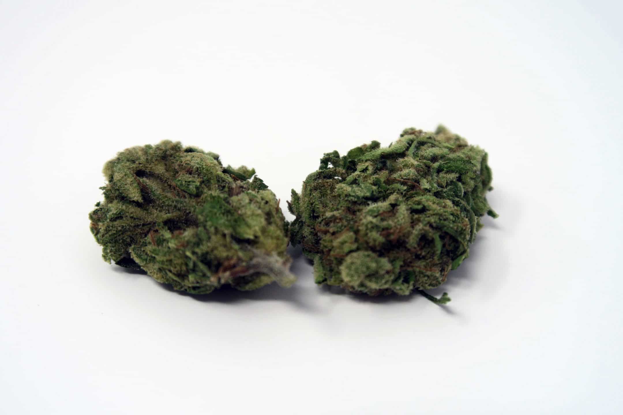 Archive image 4 for Green Kiss Cannabis Strain Review