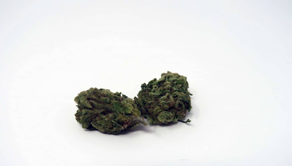 Archive image 5 for Green Kiss Cannabis Strain Review