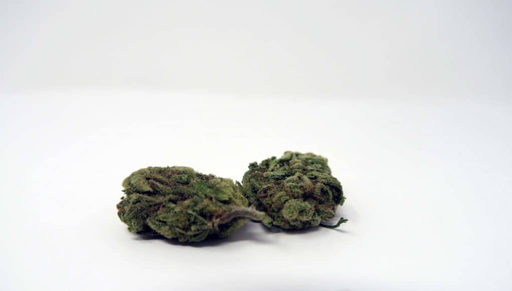 Archive image 6 for Green Kiss Cannabis Strain Review