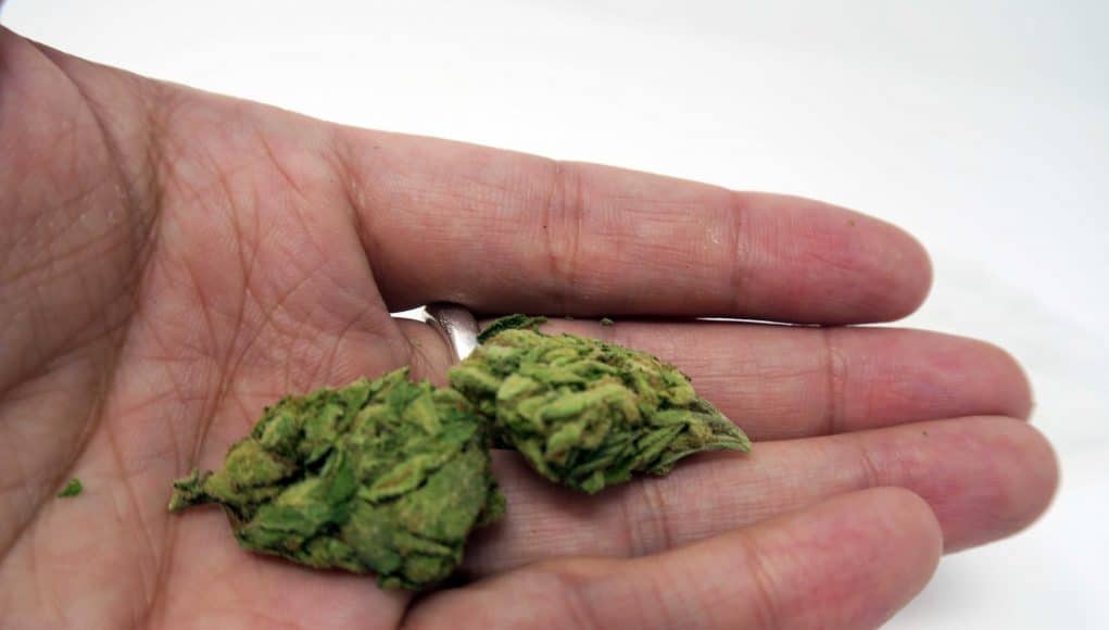 Archive image 7 for Green Kiss Cannabis Strain Review
