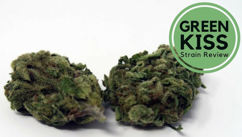 Archive image 8 for Green Kiss Cannabis Strain Review