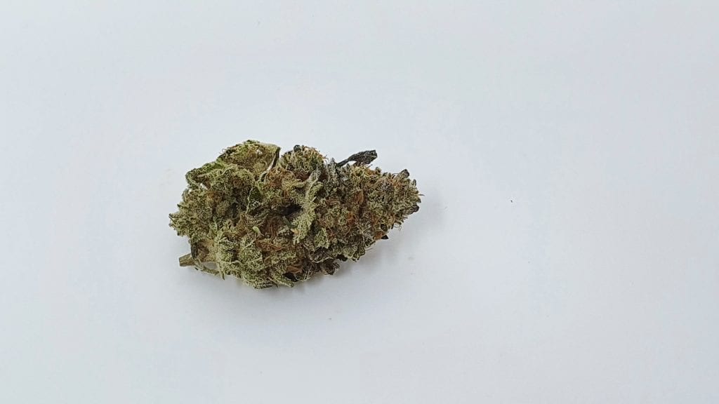 Archive image 3 for Harambe's Revenge Cannabis Strain Review & Information