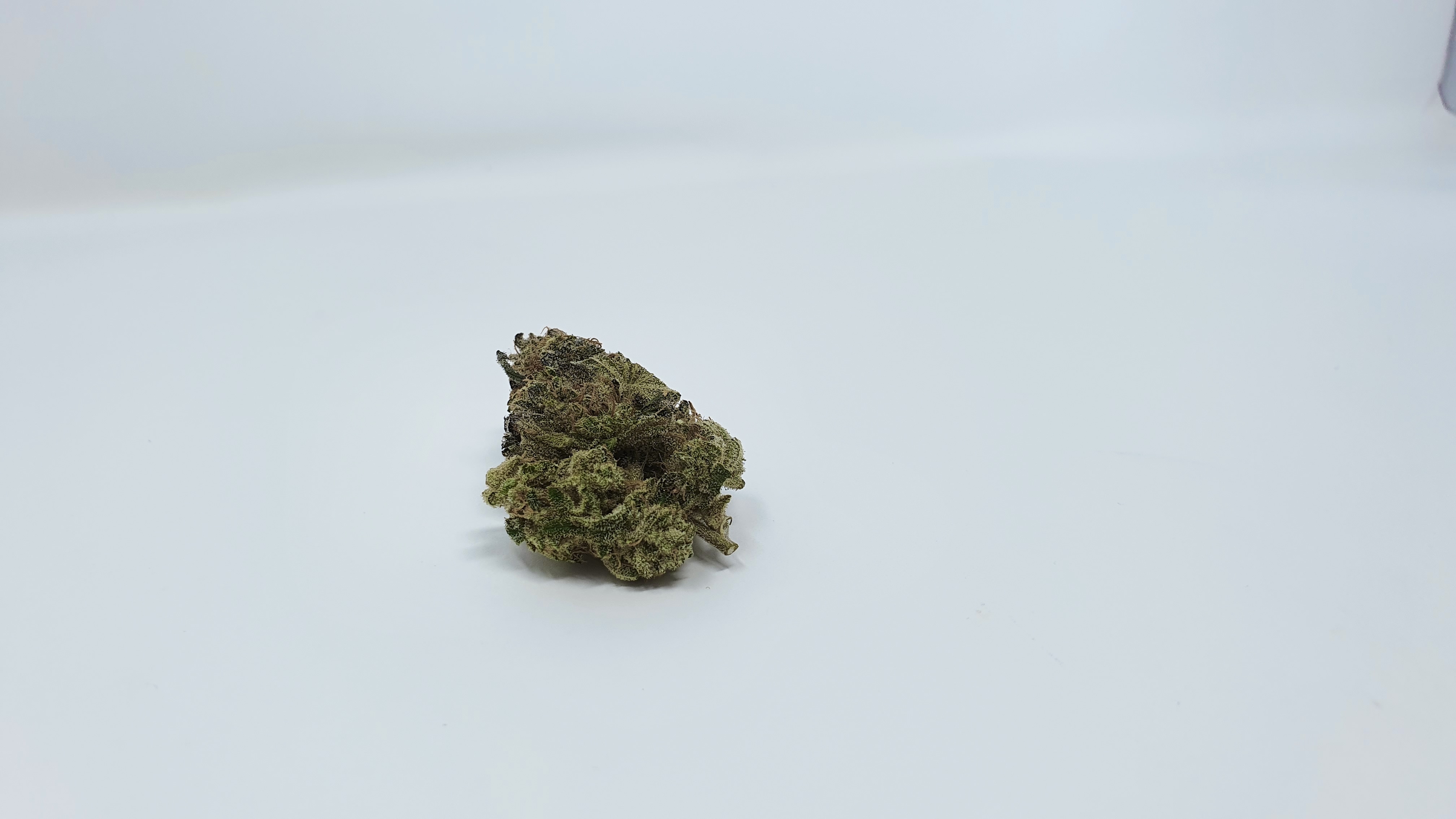 Archive image 4 for Harambe's Revenge Cannabis Strain Review & Information