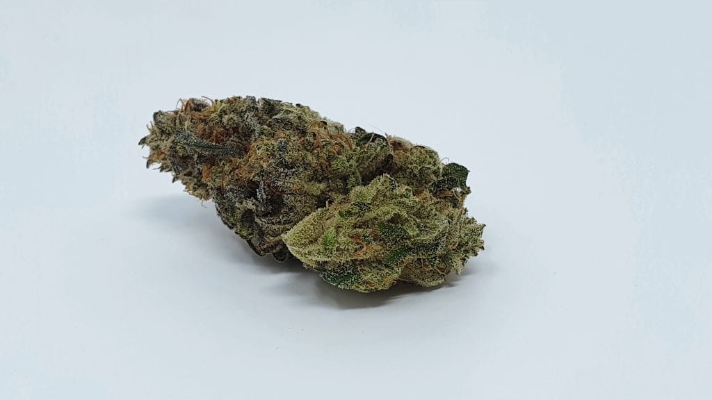 Archive image 7 for Harambe's Revenge Cannabis Strain Review & Information