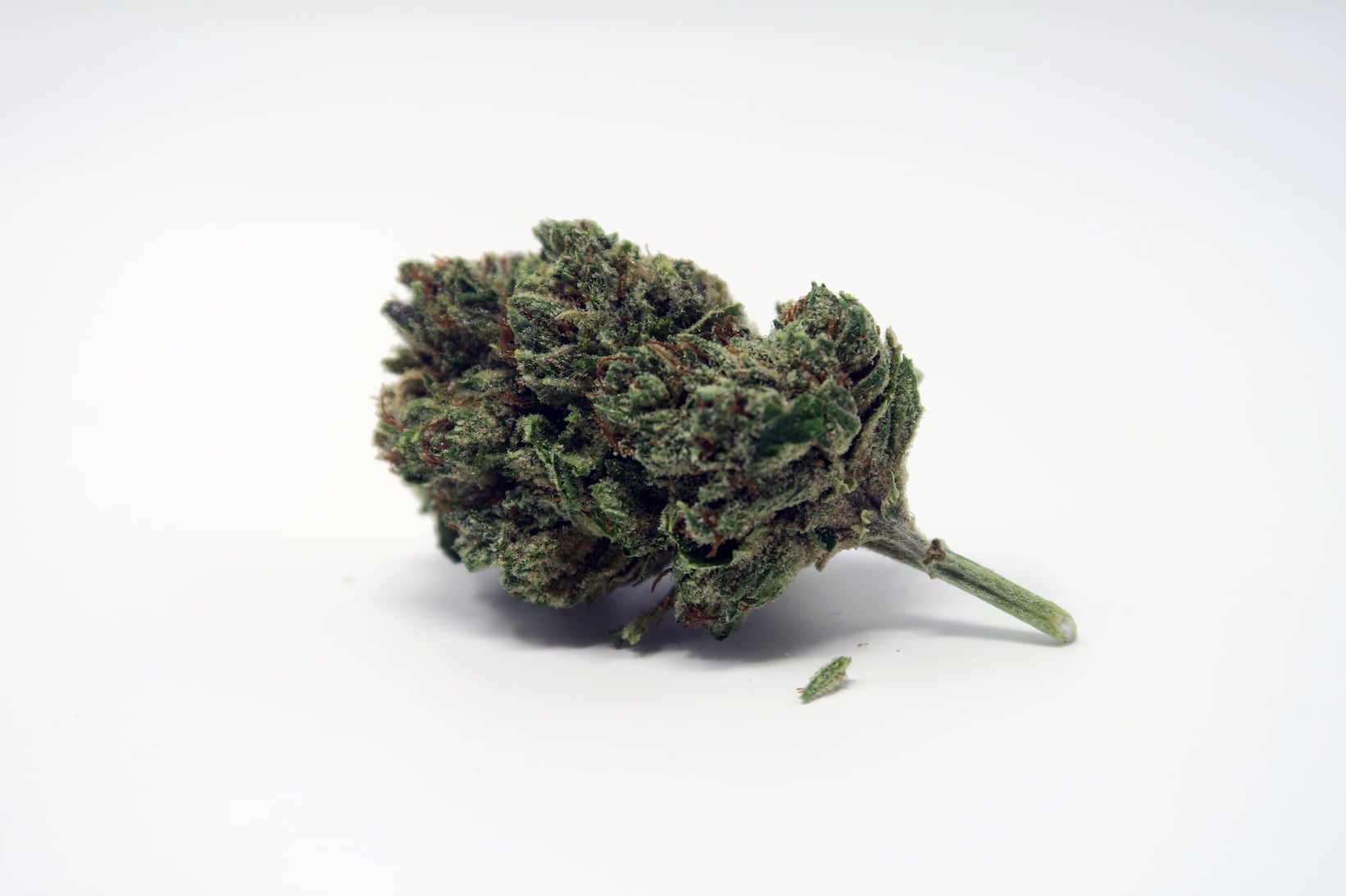 Archive image 2 for Headband Cannabis Strain Review