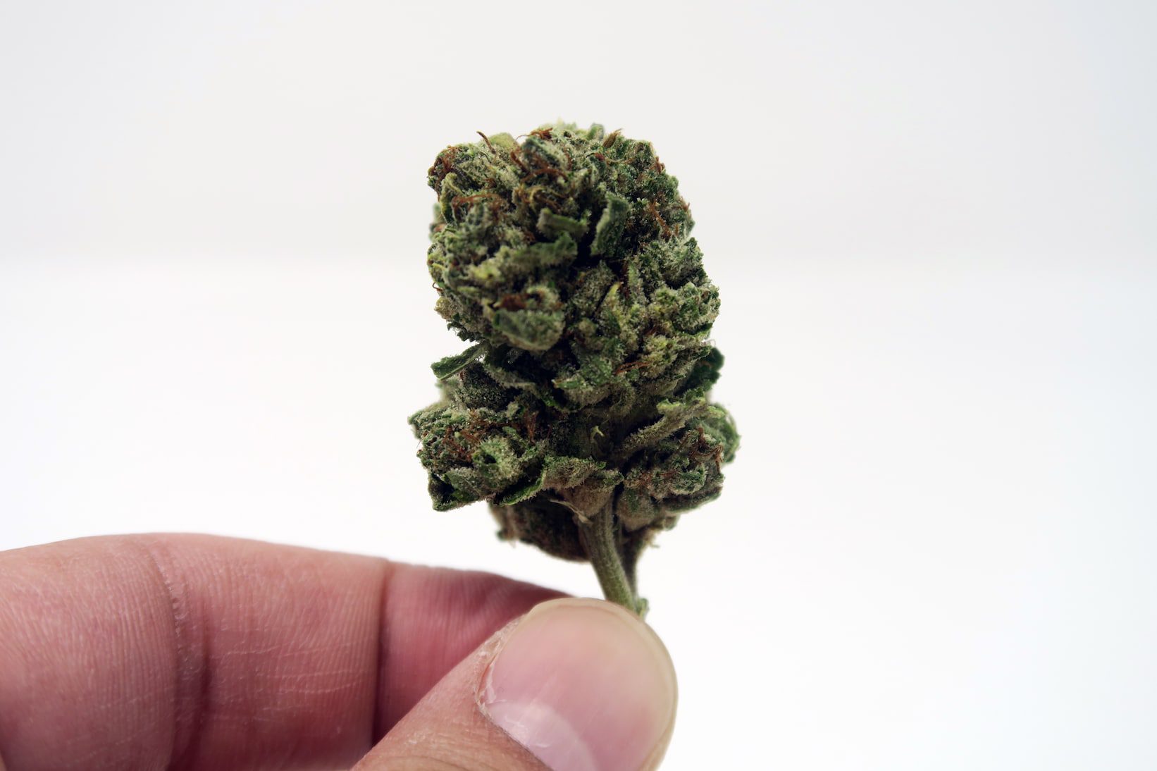 Archive image 3 for Headband Cannabis Strain Review