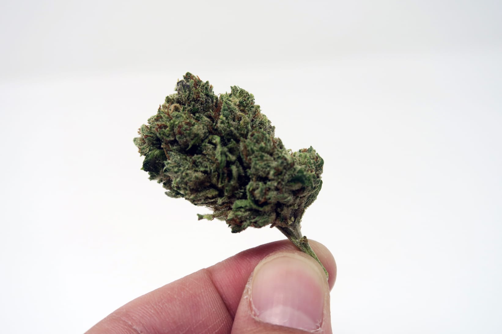 Archive image 4 for Headband Cannabis Strain Review