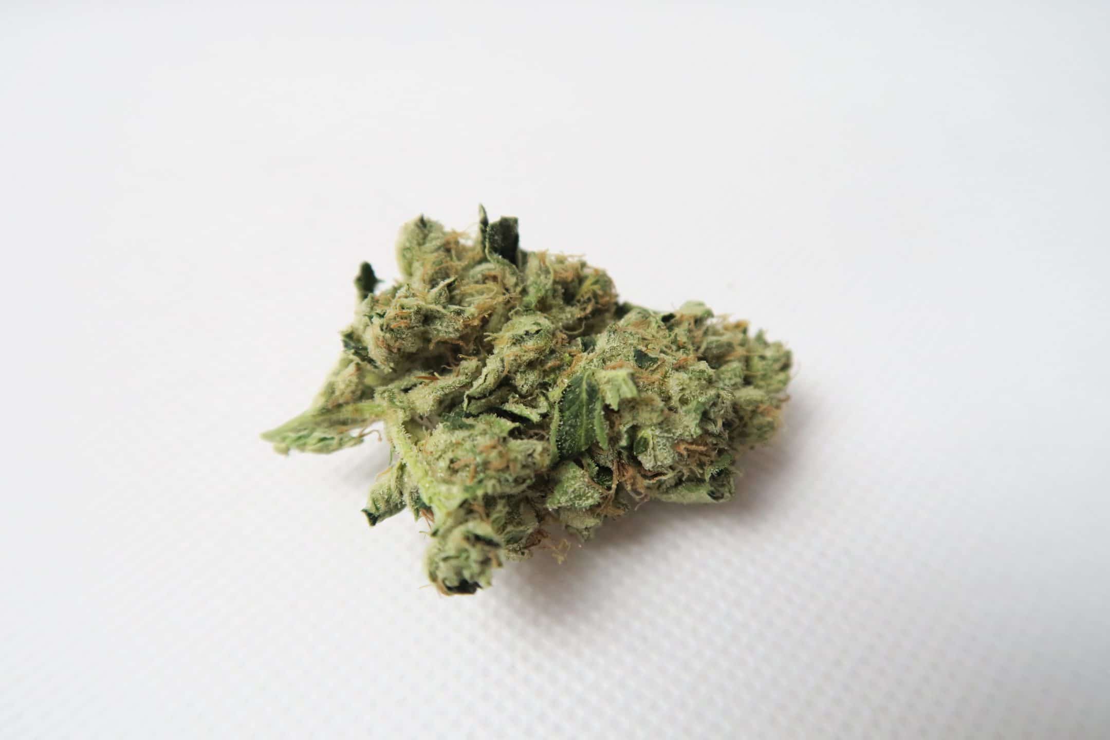 Archive image 2 for Headbanger Strain Review
