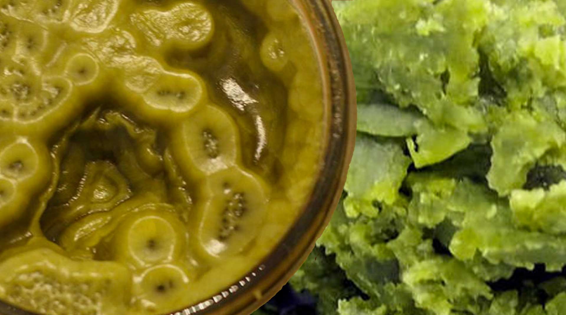 Archive image 5 for How to Make Cannabis Coconut Oil Part 2