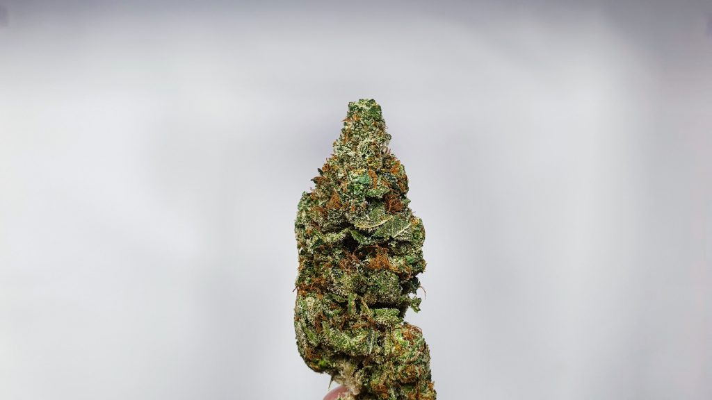 Archive image 5 for Hubba Bubba Cannabis Strain Review & Information