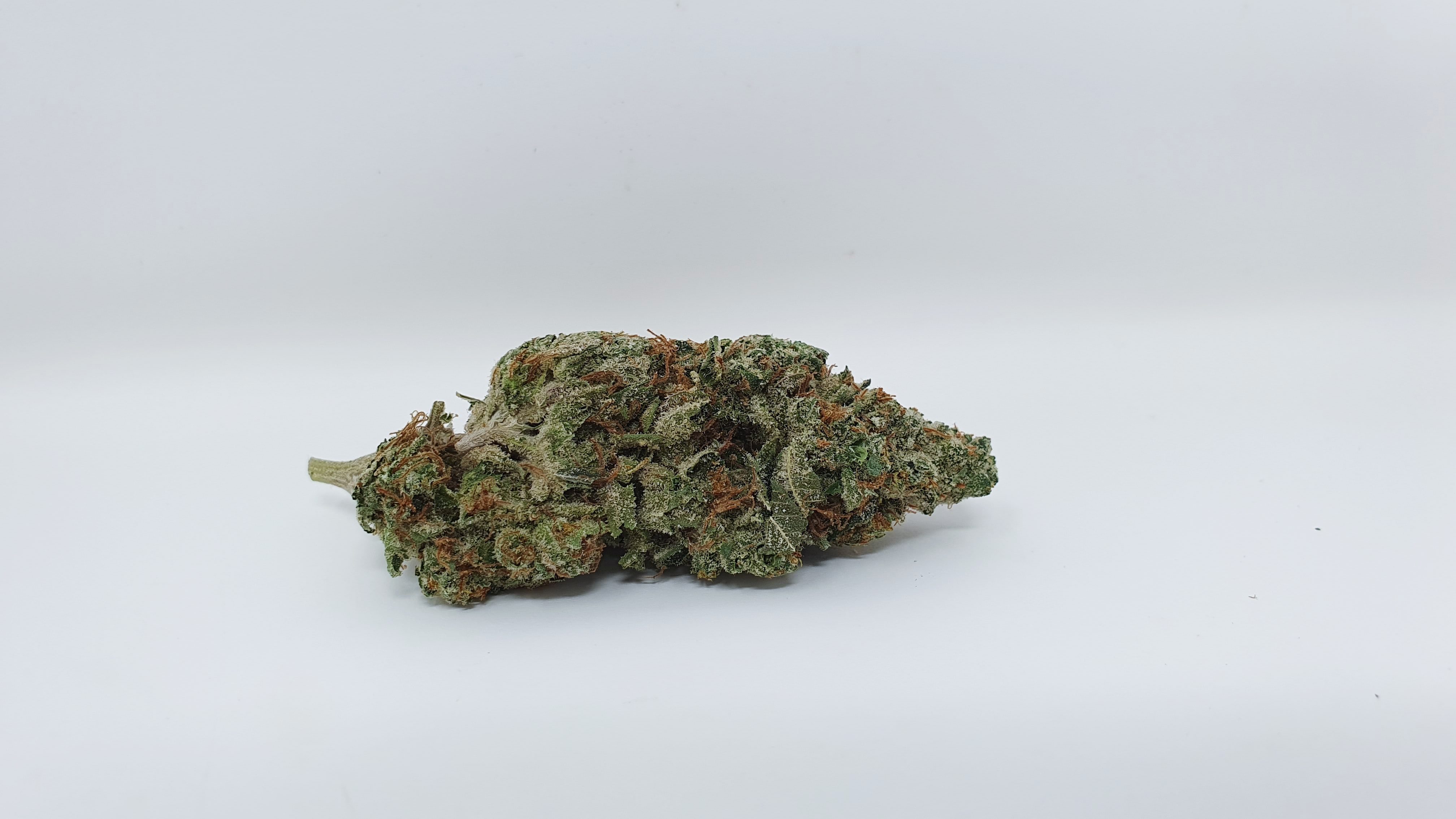 Archive image 8 for Hubba Bubba Cannabis Strain Review & Information