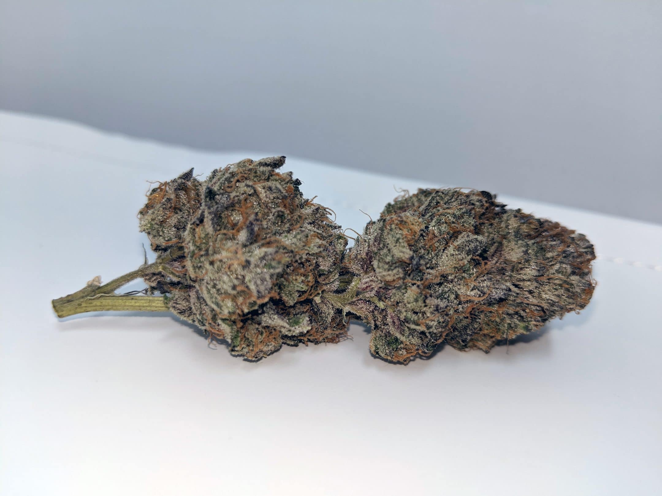 Archive image 2 for Ice Cream Cake Cannabis Strain Review & Information