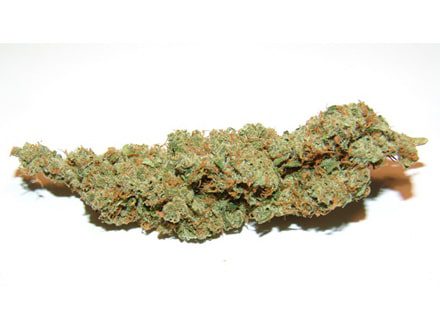 Top 5 Cannabis Strains: Haze
