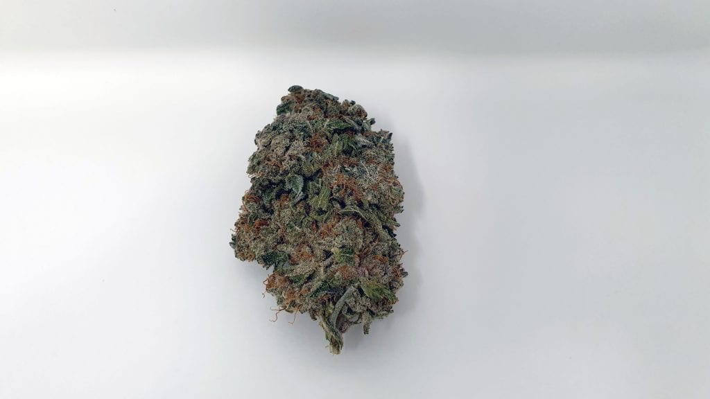 Archive image 2 for Jaffa Berry Cannabis Strain Review & Information