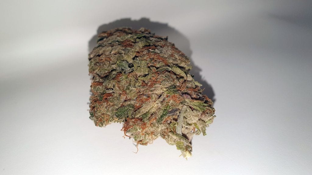 Archive image 3 for Jaffa Berry Cannabis Strain Review & Information