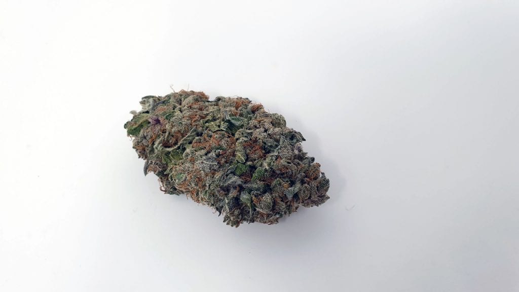 Archive image 4 for Jaffa Berry Cannabis Strain Review & Information