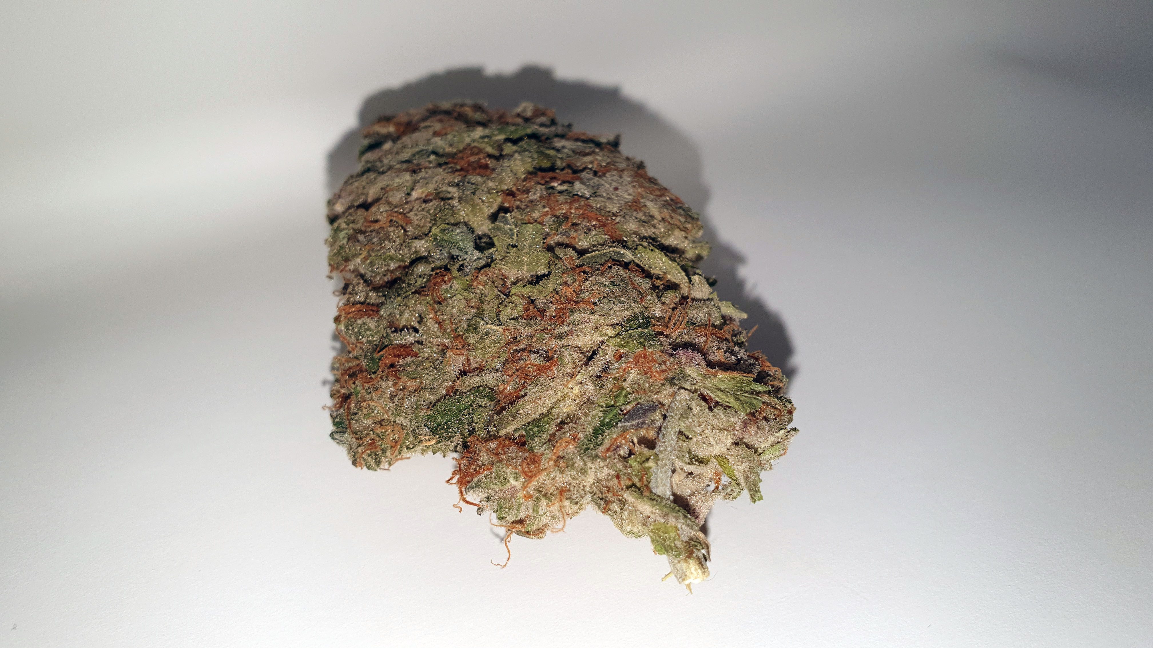 Archive image 5 for Jaffa Berry Cannabis Strain Review & Information