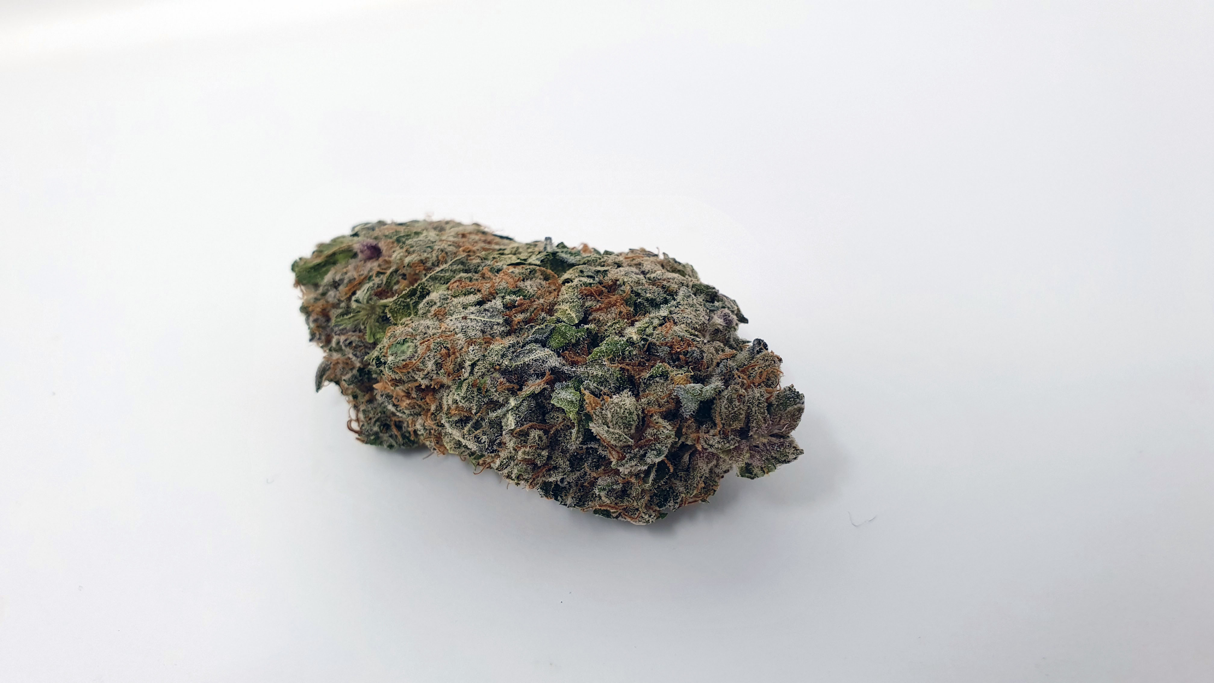 Archive image 8 for Jaffa Berry Cannabis Strain Review & Information