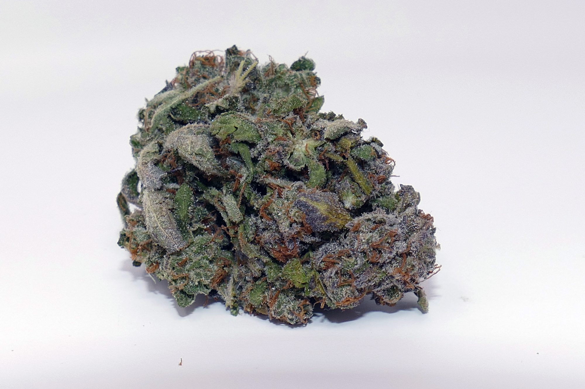 Archive image 4 for Jaffa Caked Cookies Cannabis Strain Information & Review