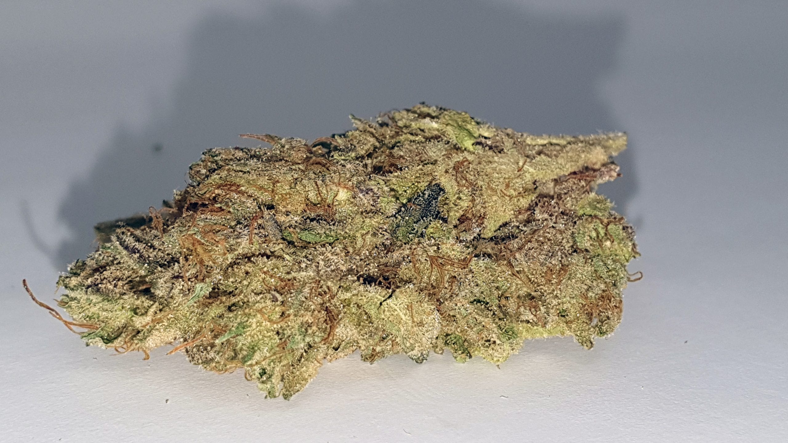 Archive image 4 for Jaffacito Cannabis Strain Review & Information