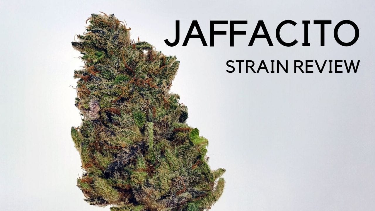 Archive image 6 for Jaffacito Cannabis Strain Review & Information