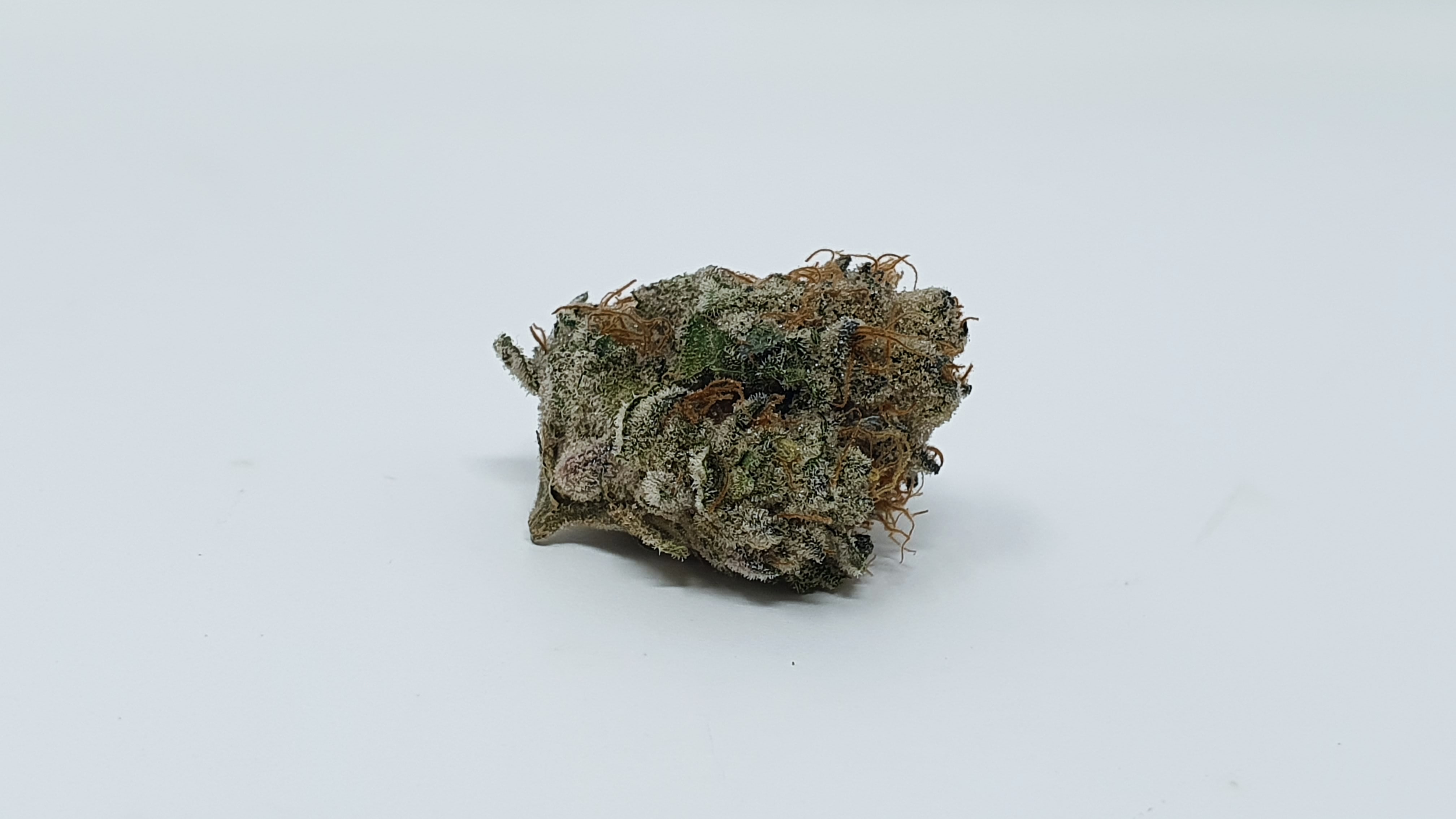 Archive image 5 for Kent Valley Kush Cannabis Strain Review & Information
