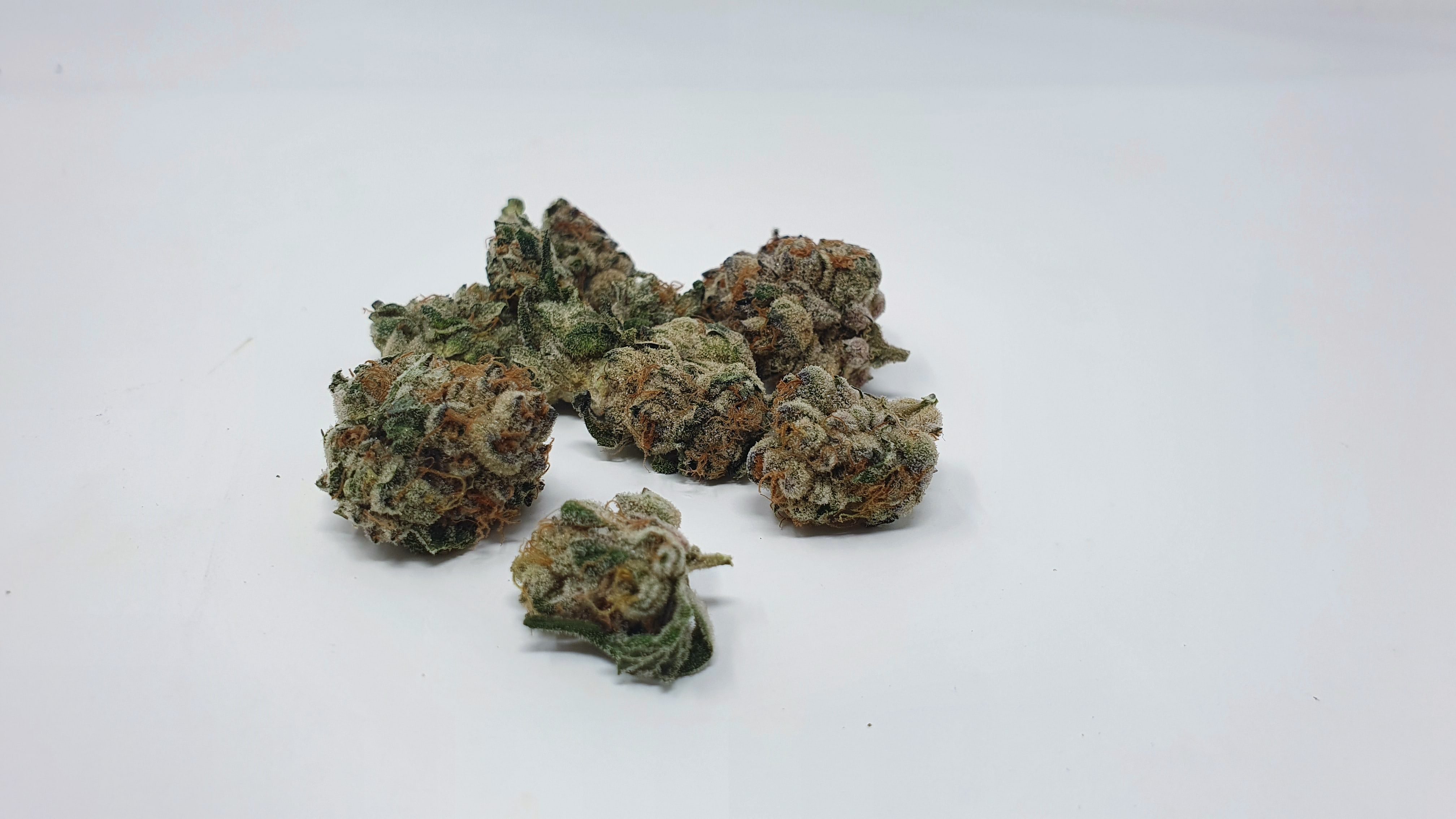Archive image 8 for Kent Valley Kush Cannabis Strain Review & Information