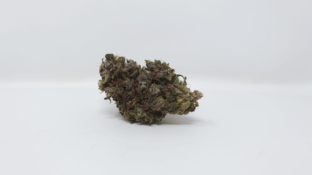Archive image 4 for Kurokush Cannabis Strain Review & Information