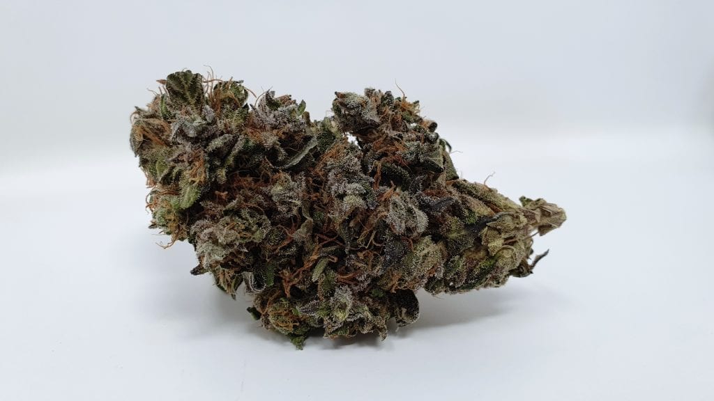 Archive image 6 for Kurokush Cannabis Strain Review & Information
