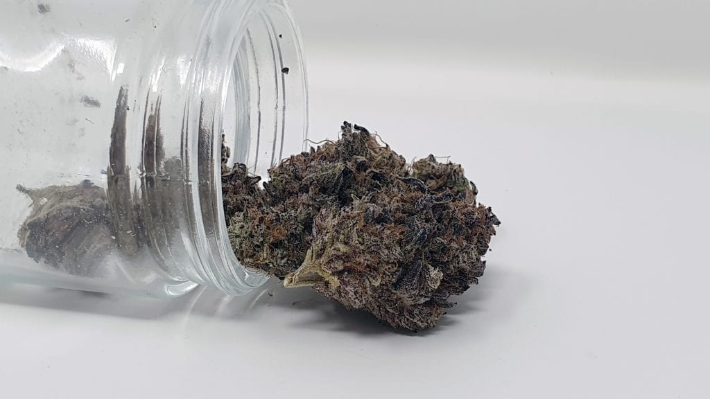 Archive image 3 for LA Kush Cake Cannabis Strain Review & Information