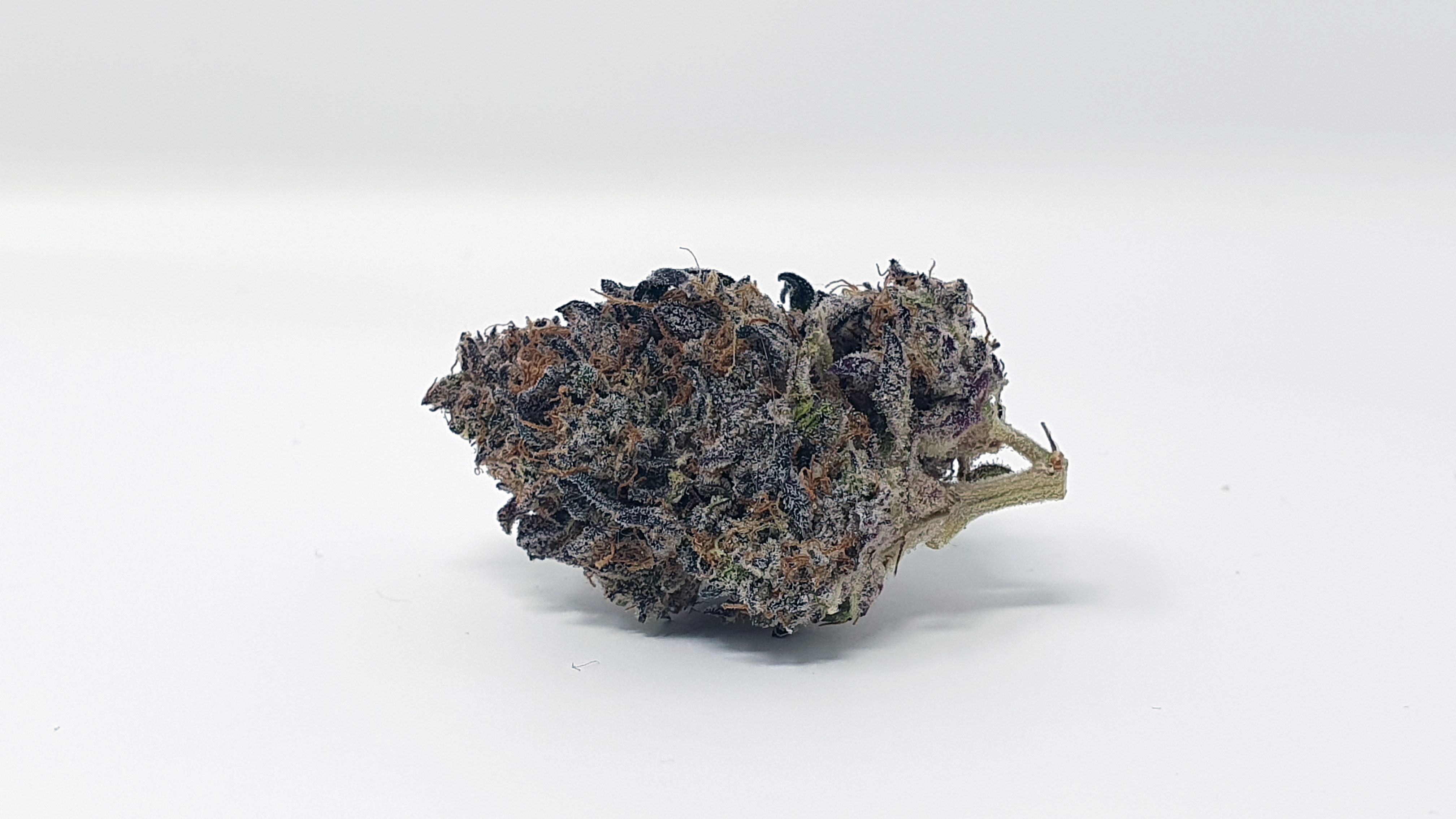 Archive image 5 for LA Kush Cake Cannabis Strain Review & Information