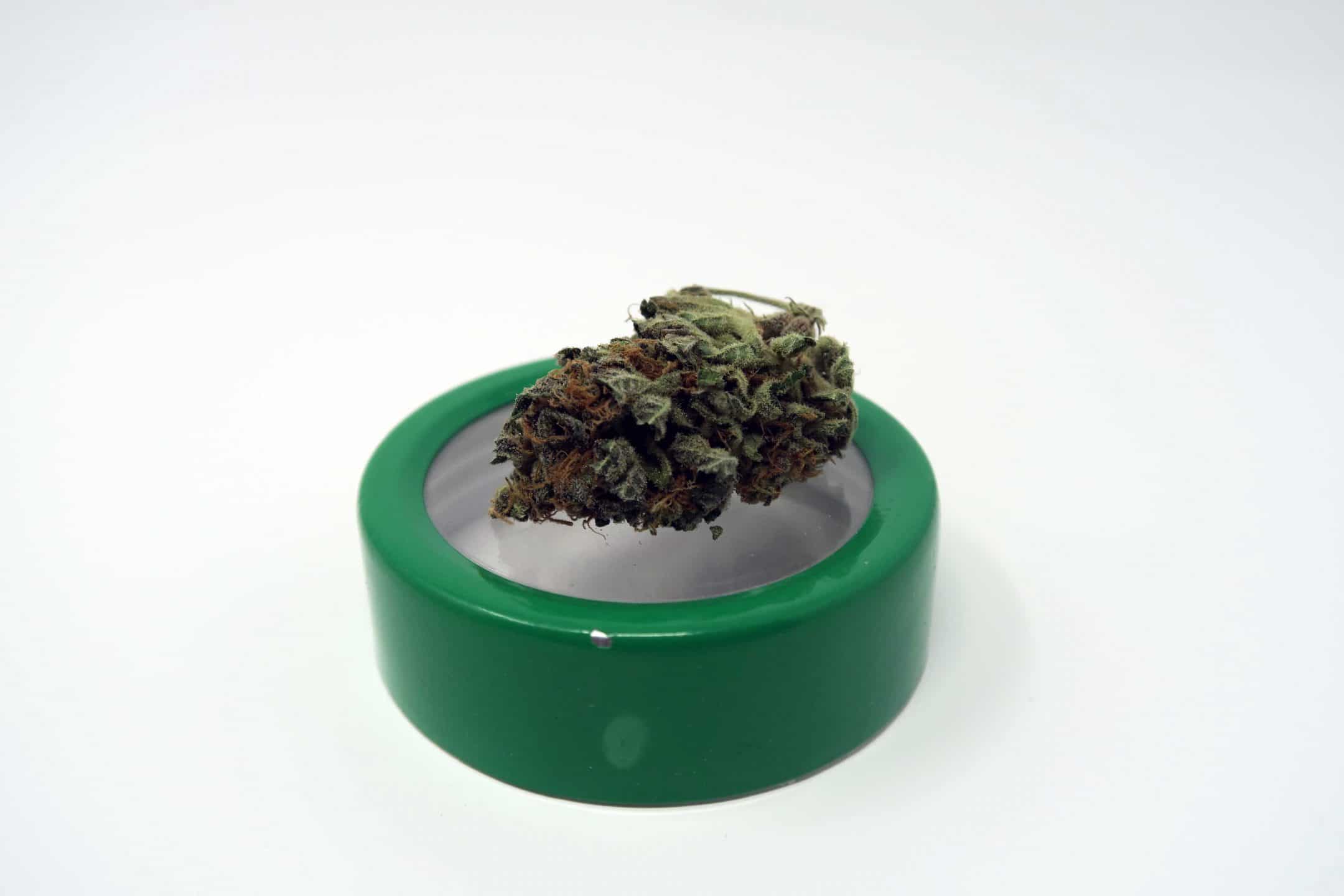 Archive image 2 for Lavender Cannabis Strain Review