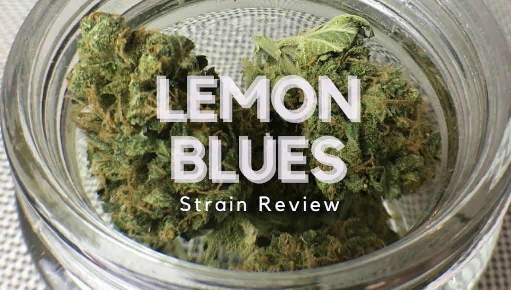 Archive image 2 for Lemon Blues Cannabis Strain Review