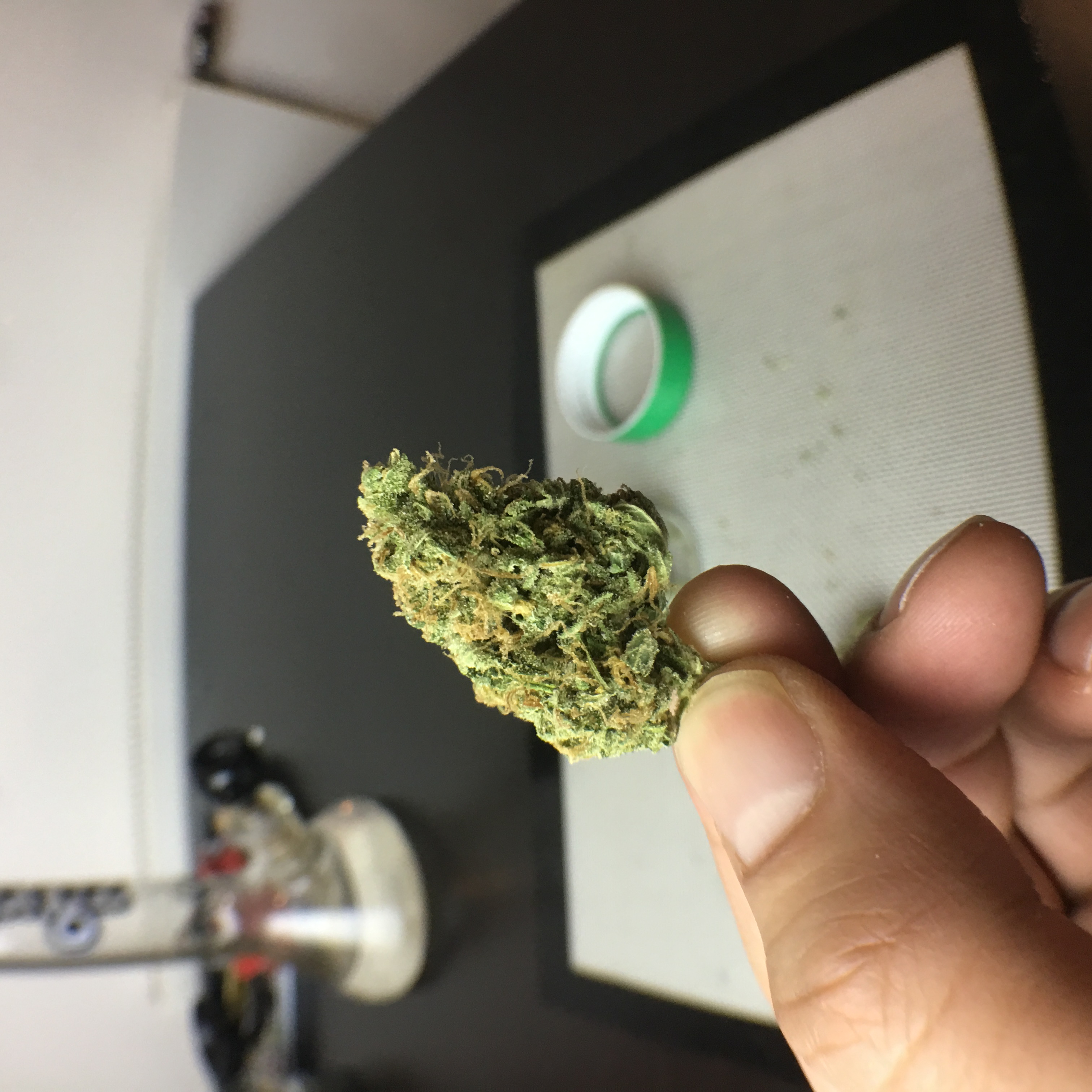 Archive image 3 for Lemon Blues Cannabis Strain Review