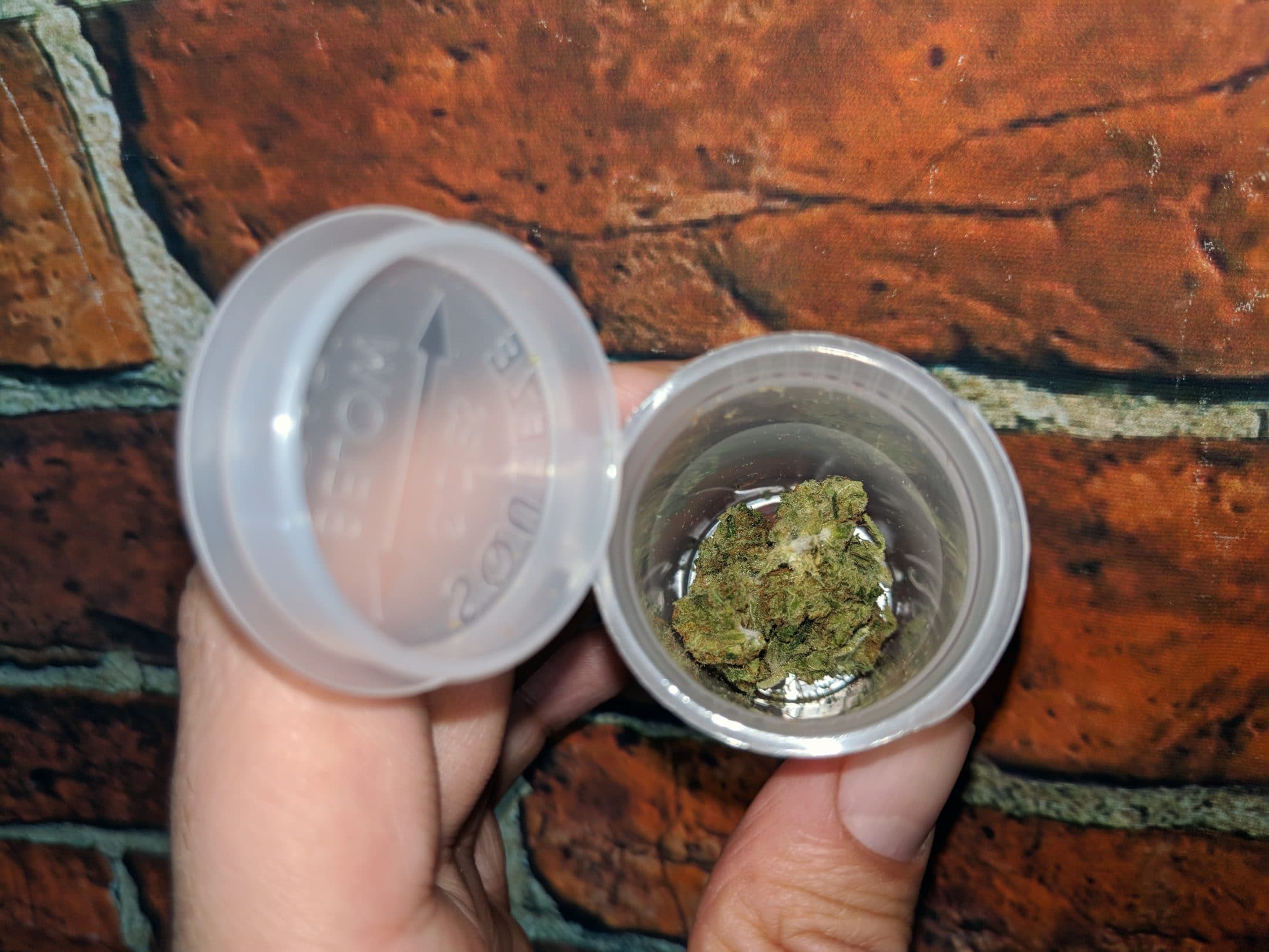 Archive image 2 for Lemon Haze CBD Strain Review