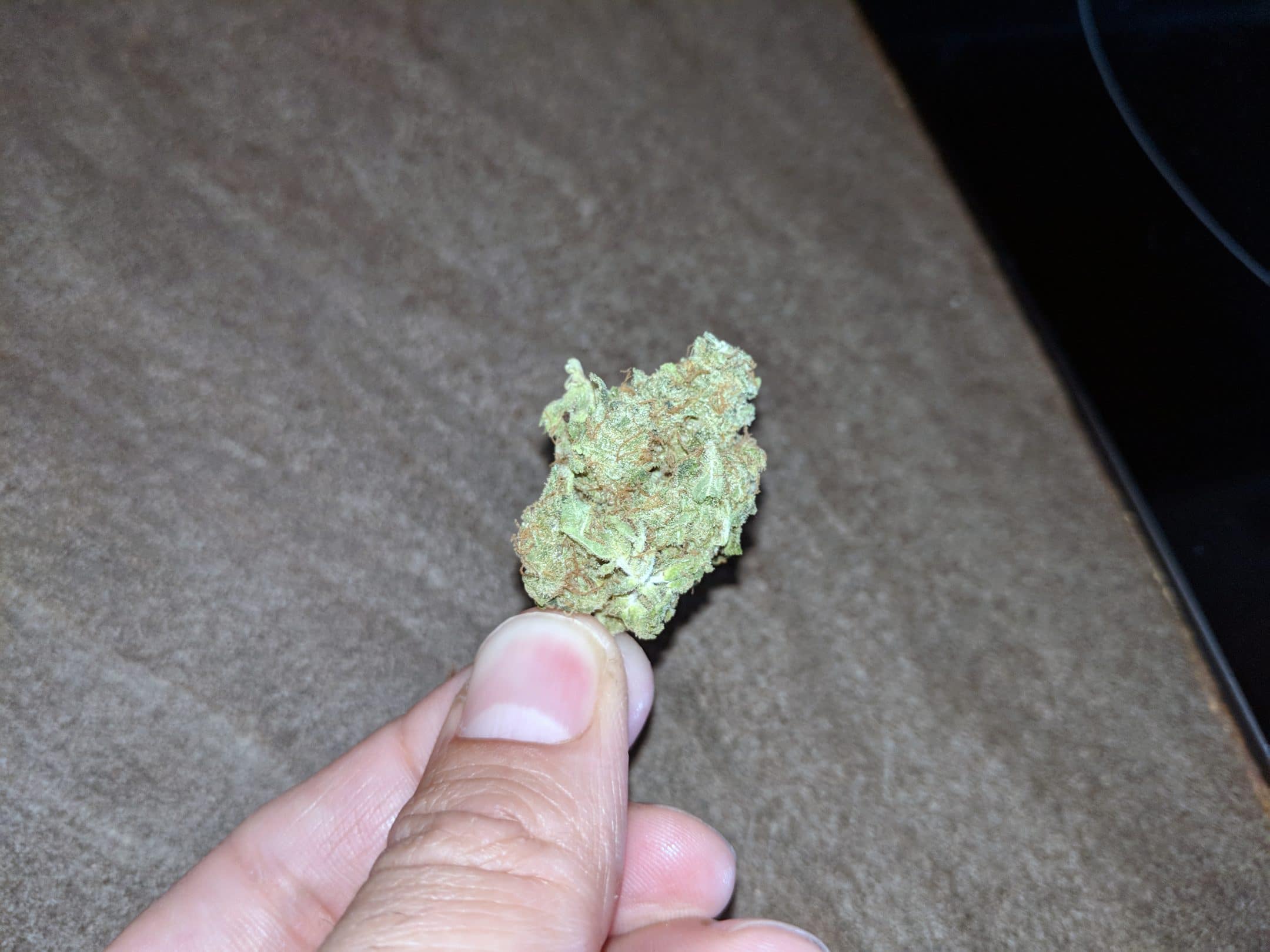 Archive image 6 for Lemon Haze CBD Strain Review