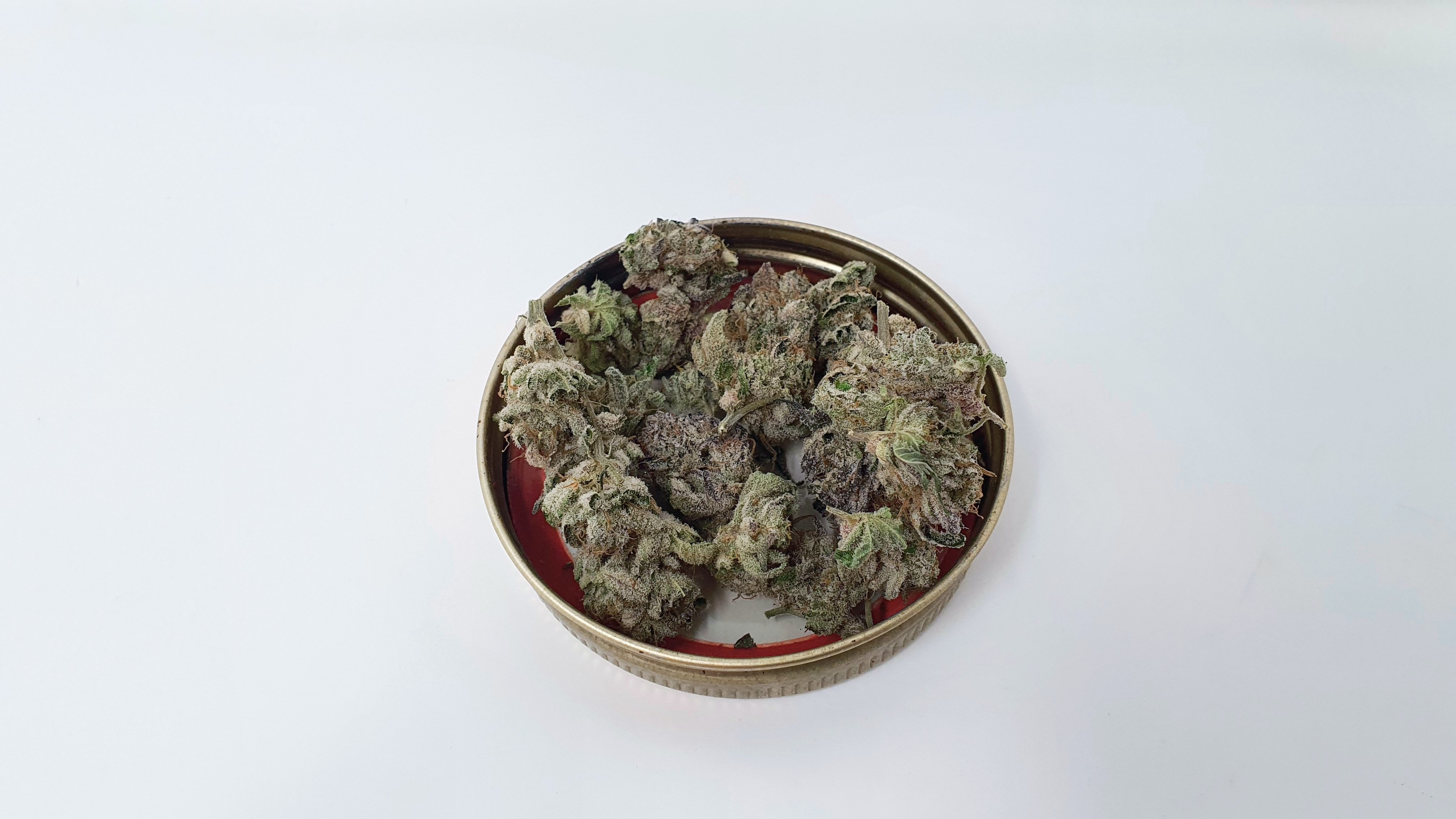Archive image 5 for Lemon Lime Pie Cannabis Strain Review & Information