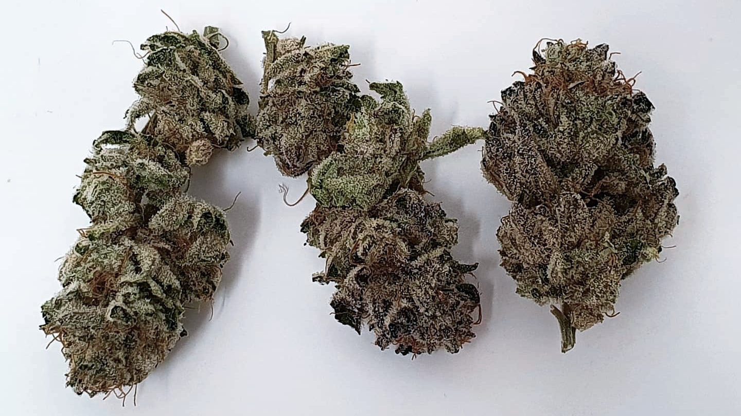 Archive image 6 for Lemon Lime Pie Cannabis Strain Review & Information