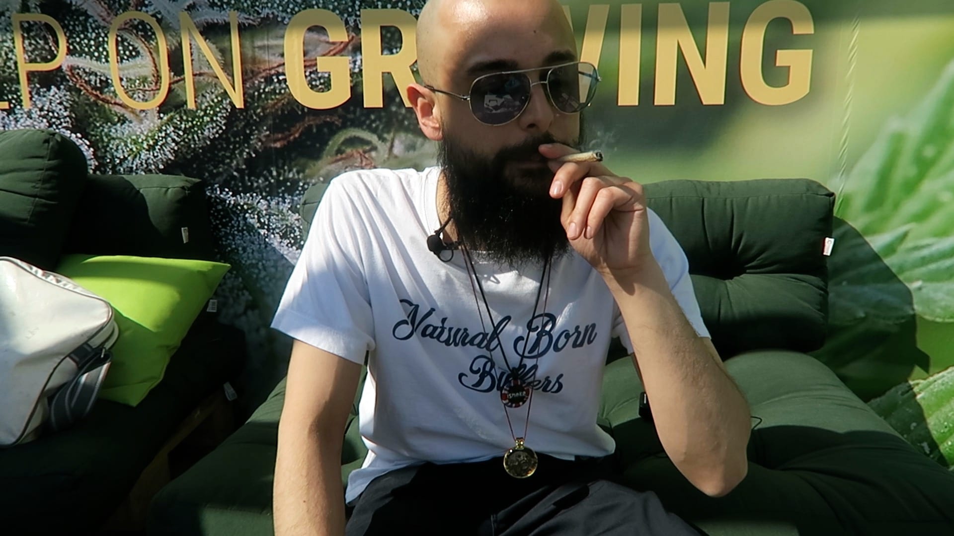 Archive image 2 for Lemon Shining Silver Haze Cannabis Strain Review