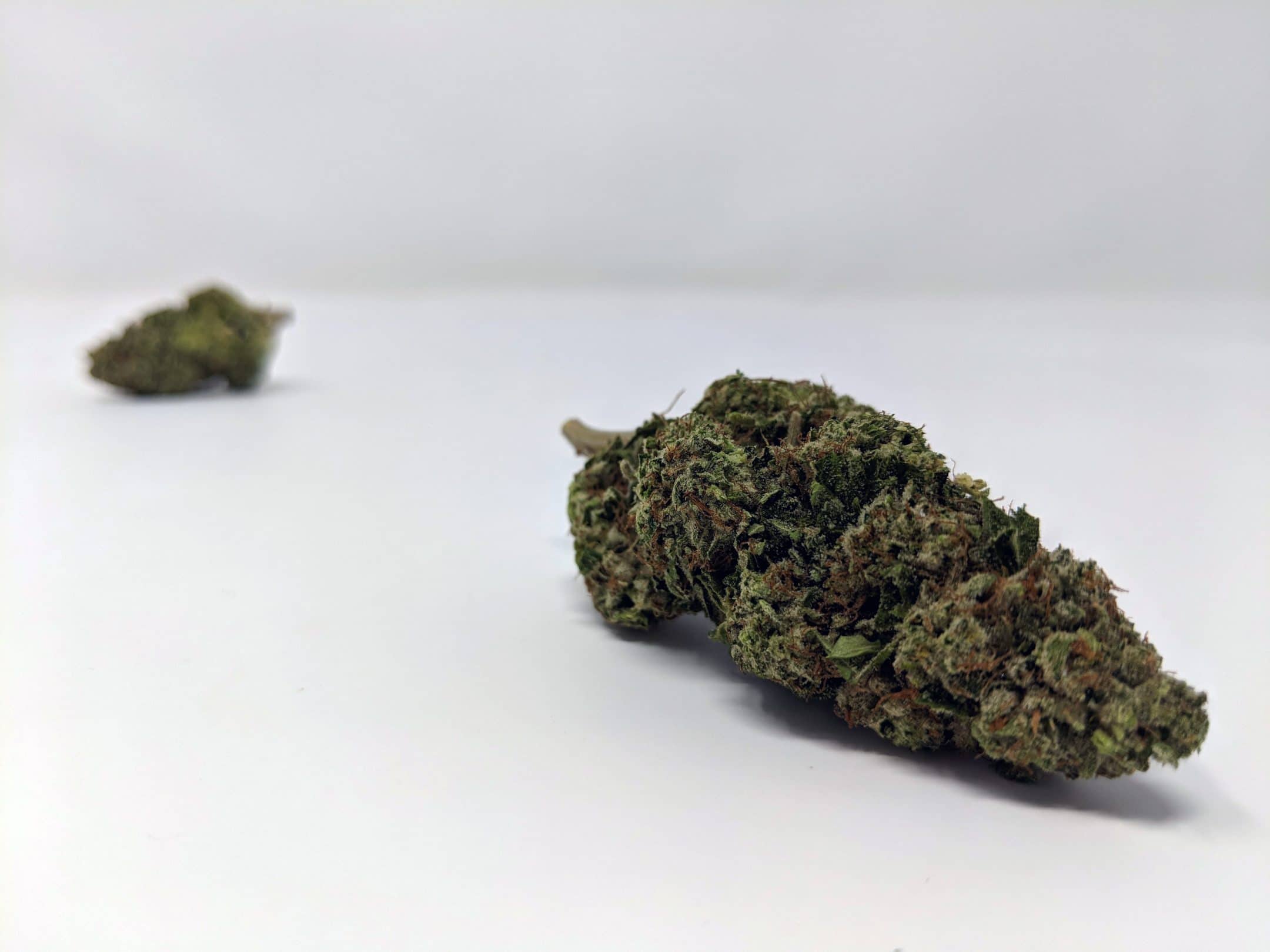 Archive image 4 for Marmalade Cannabis Strain Review & Information
