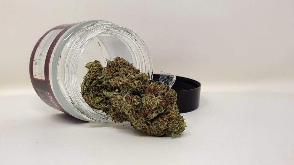 Archive image 5 for Marmalade Cannabis Strain Review & Information