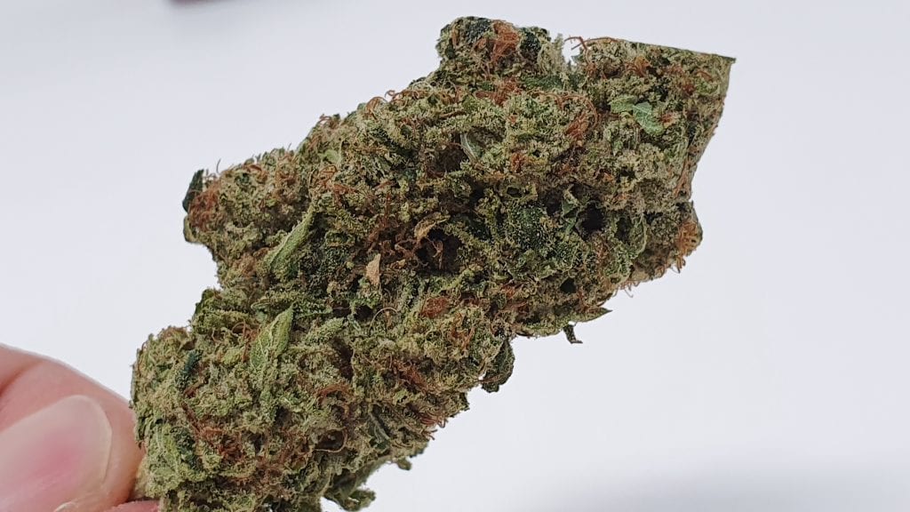 Archive image 6 for Marmalade Cannabis Strain Review & Information