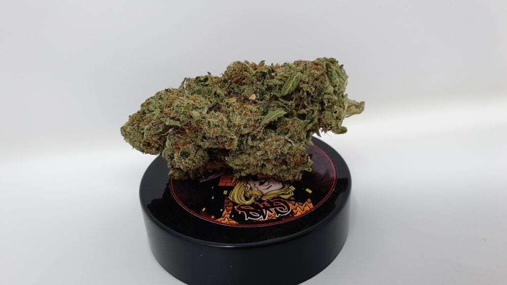 Archive image 7 for Marmalade Cannabis Strain Review & Information