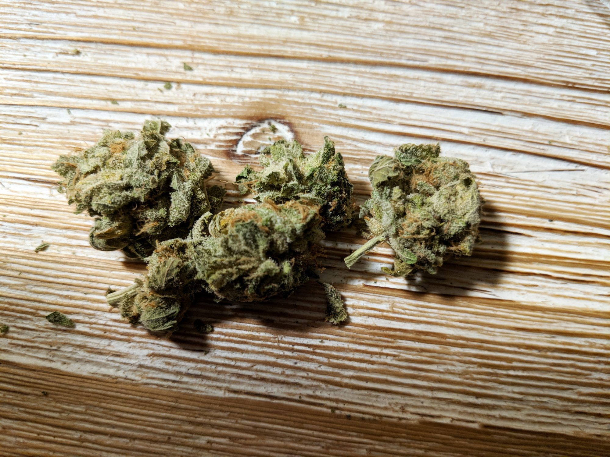 Archive image 2 for Mataro Blue Cannabis Strain Review and Information