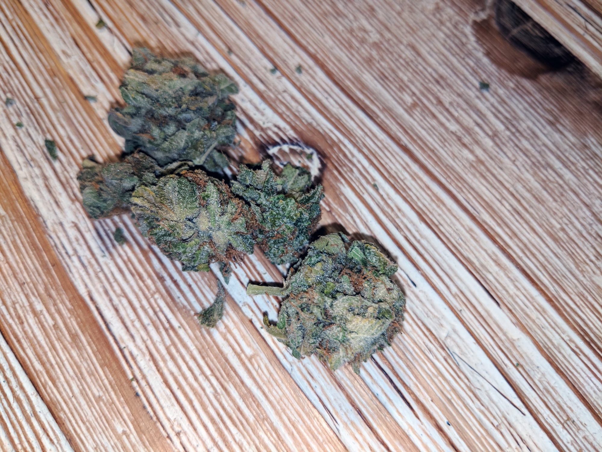 Archive image 3 for Mataro Blue Cannabis Strain Review and Information